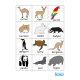 Animal Flash Cards to Name, Sort, Match, Speech Therapy & Autism